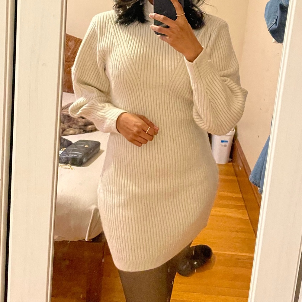 H&M Bodycon Turtleneck Sweater Dress